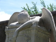 weeping angel weeping angel
