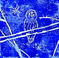 owlblue