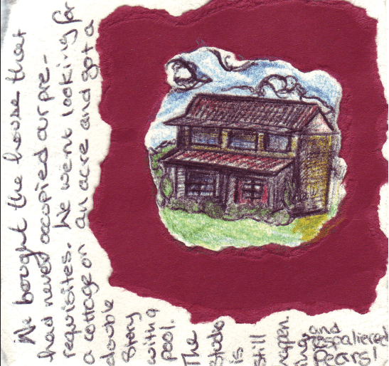 Text & Image Alison Boyd ©