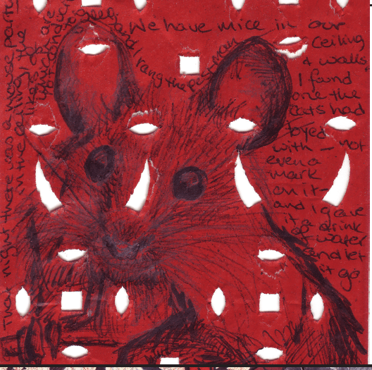 Text & Image Alison Boyd ©