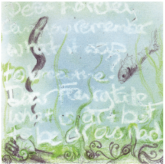 Words/Image Alison Boyd ©