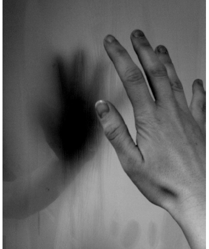 Image Alison Boyd ©