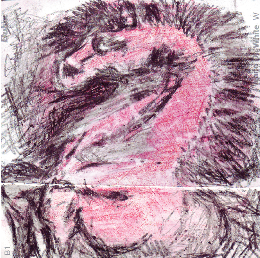 Image Alison Boyd ©