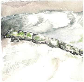 Image Emma Kirsopp ©