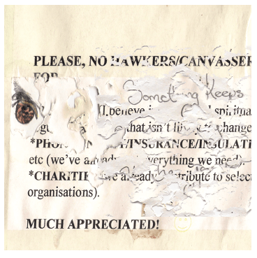 Image & words Alison Boyd ©