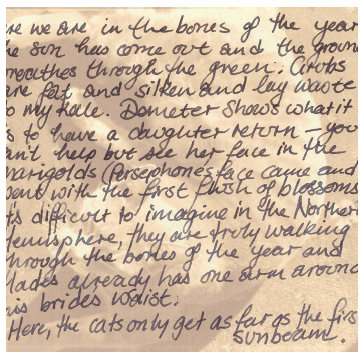 Image & words Alison Boyd ©