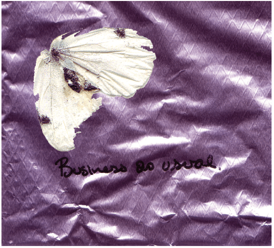 Image & words Alison Boyd ©