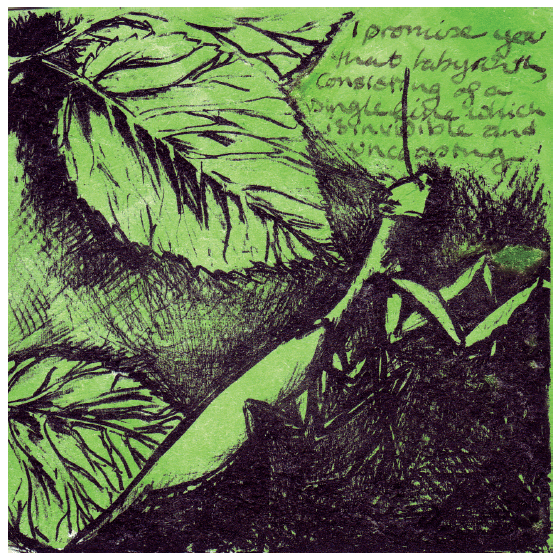 Image & words Alison Boyd ©