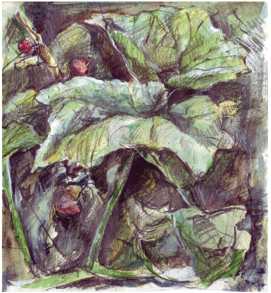 Image Emma Kirsopp ©