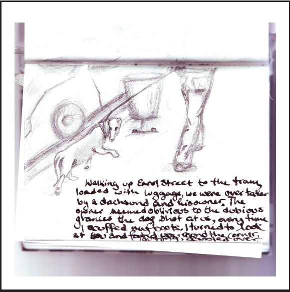 Image & words Alison Boyd ©