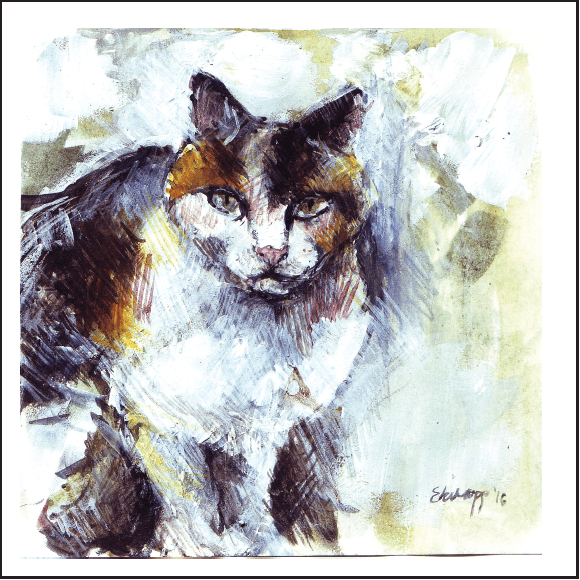 Image Emma Kirsopp ©