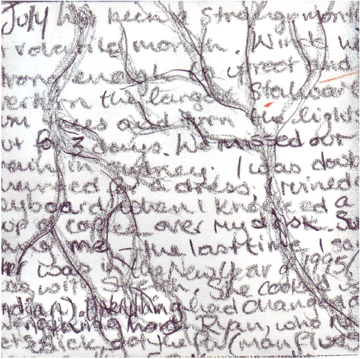 Words/Image Alison Boyd ©