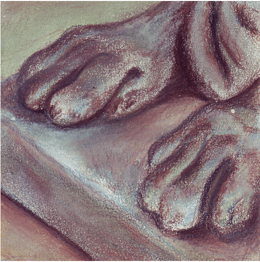 Image Alison Boyd ©