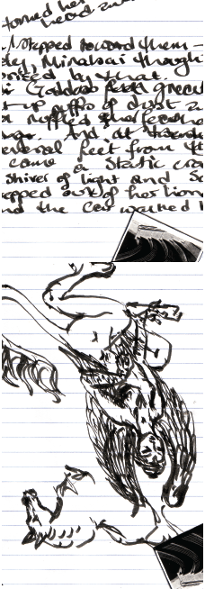 Cover Text & Image Alison Boyd ©