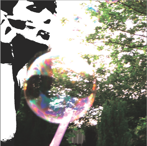 Image Alison Boyd ©