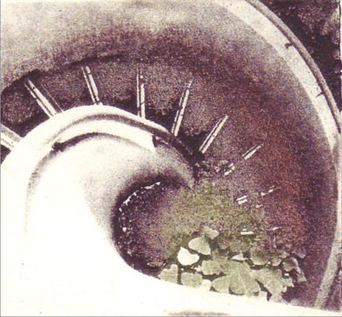 Image Alison Boyd ©