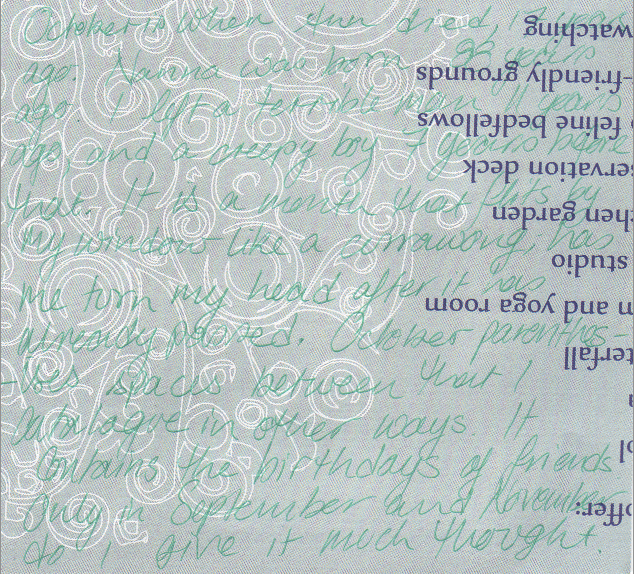 Words/Image Alison Boyd ©