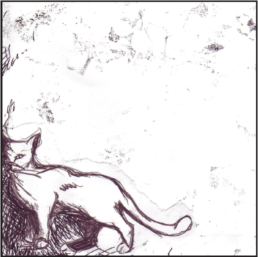 Image Alison Boyd ©