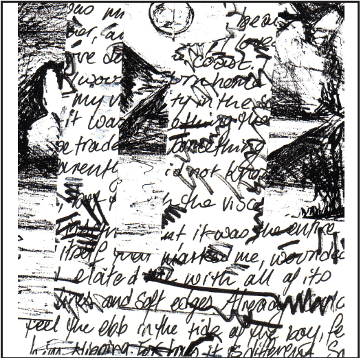 Images/Words Alison Boyd ©