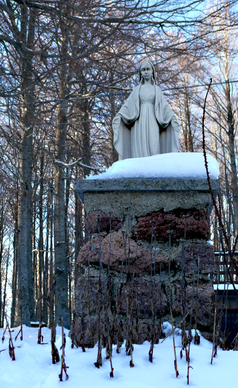 Lunedì Poesia: A Season of&nbsp;Words