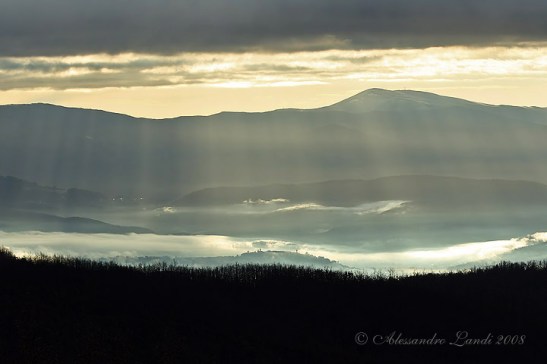 La quiete dopo la tempesta_II