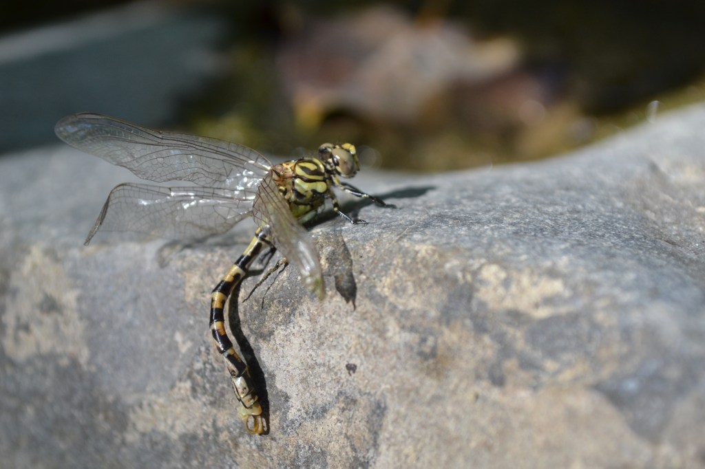 Meet the Maker&nbsp;26