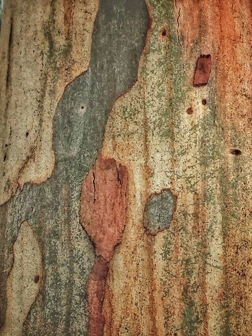 The Map of a Notion of&nbsp;Home