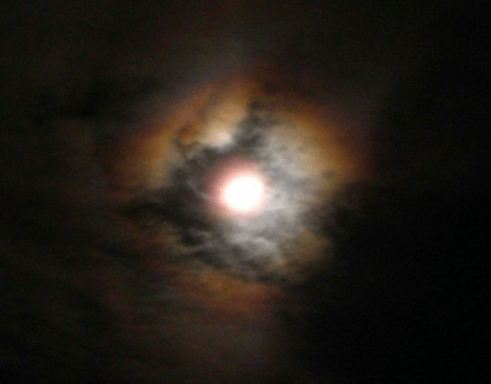 Screen Shot 2014-05-18 at 11.44.58 AM