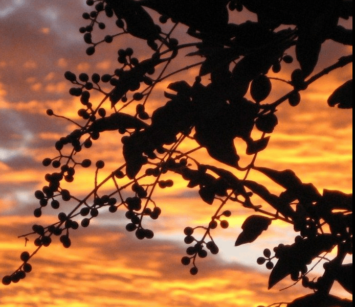 Quando le parole si&nbsp;esauriscono