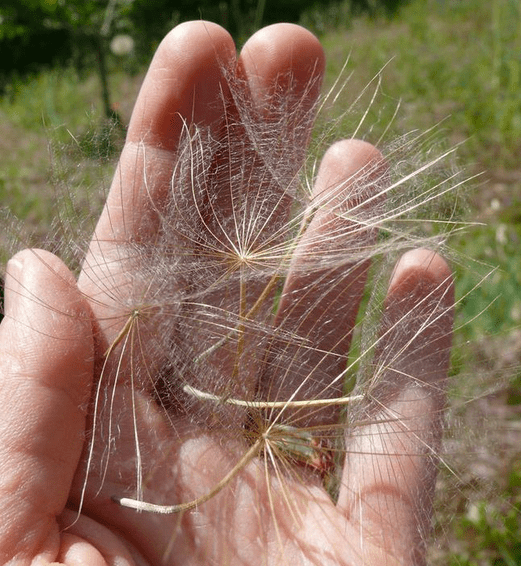 Screen Shot 2014-05-28 at 2.31.59 pm