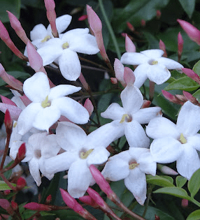 Screen Shot 2014-05-15 at 9.02.36 PM