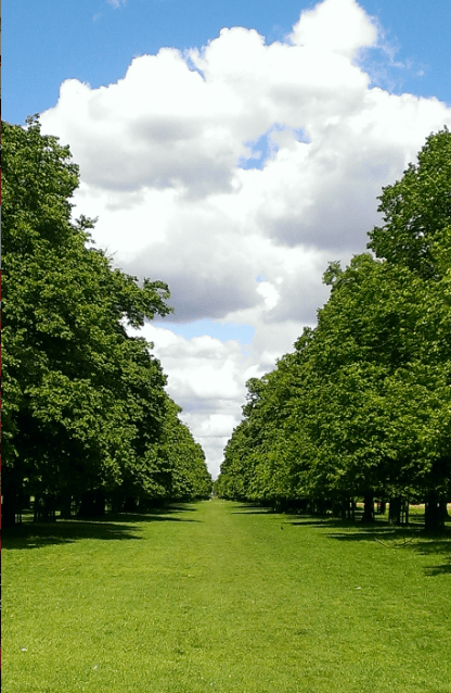 Screen Shot 2014-05-21 at 1.12.32 PM