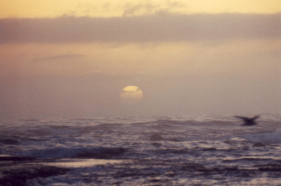 Screen Shot 2014-10-09 at 11.12.04 am