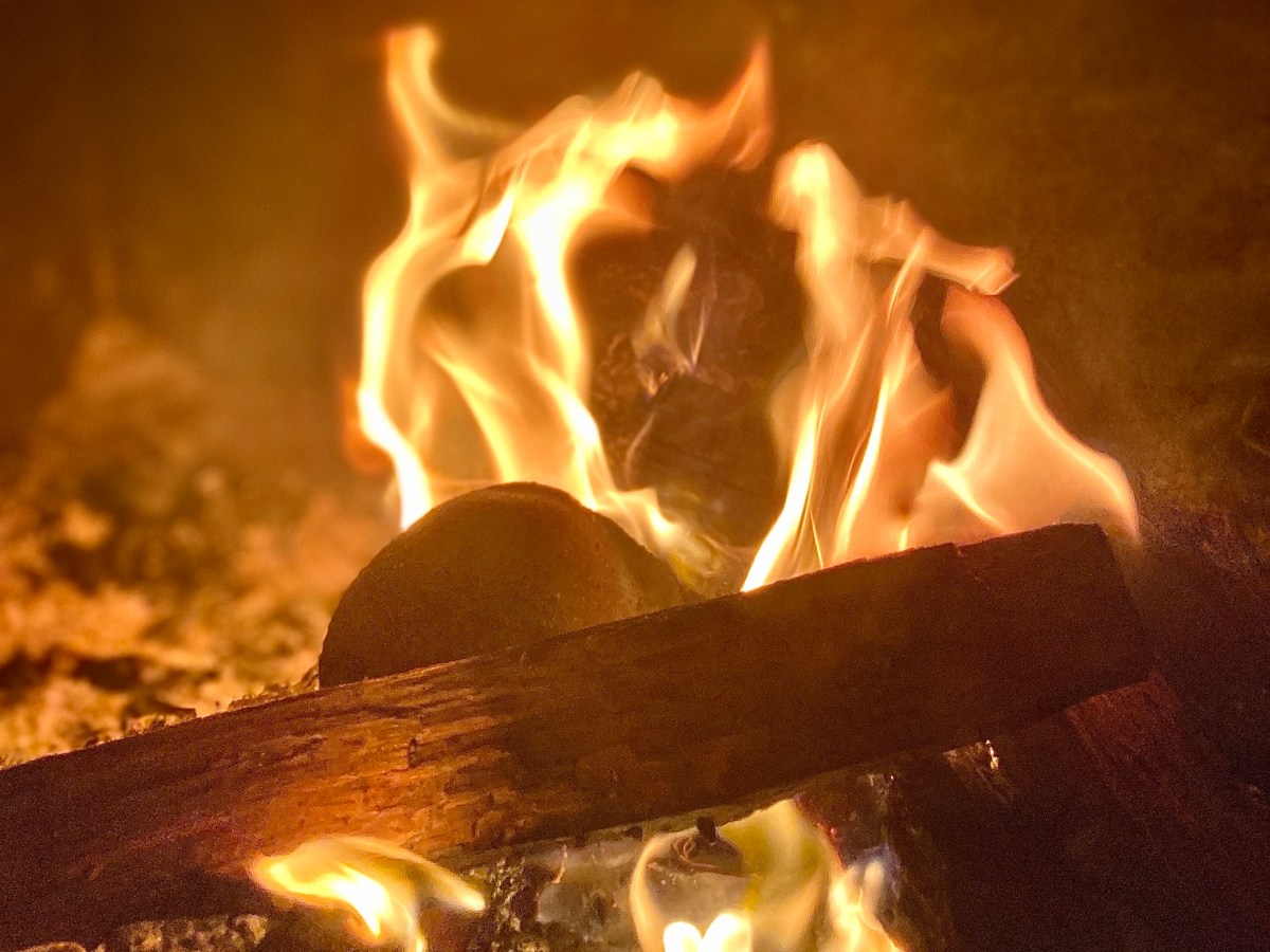 Tyger, tyger, burning&nbsp;bright…